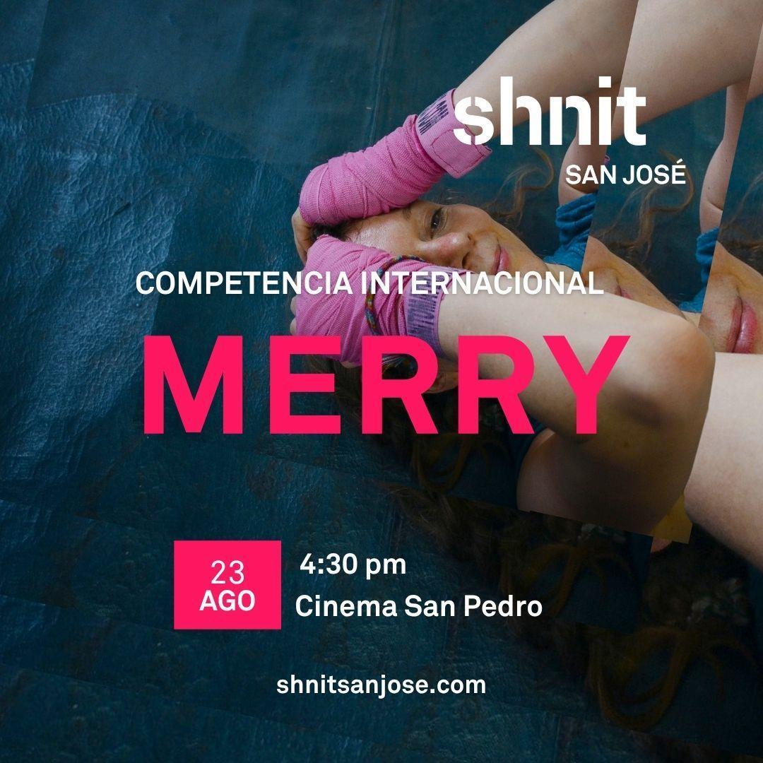 MERRY shnit